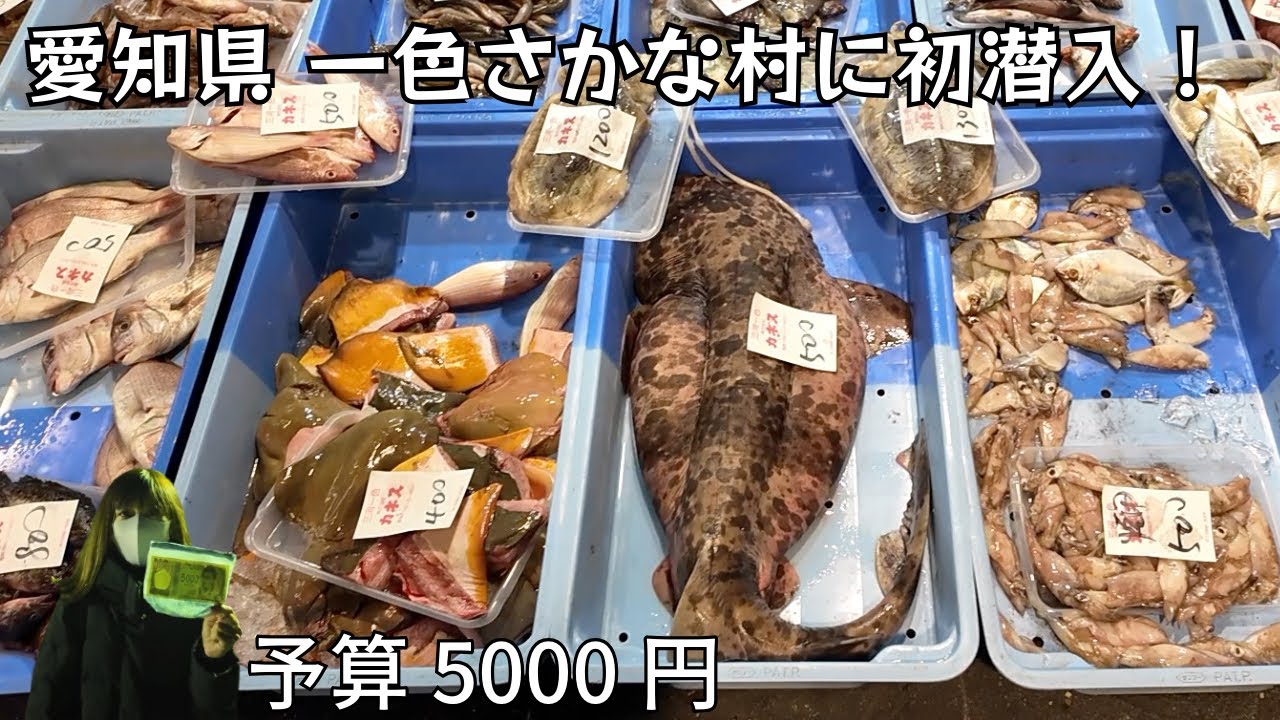 【激安】愛知県にも世界一安い魚屋を発見してしまいました。愛知県 三河一色さかな村。2025年11月 #愛知県#一色さかな村#激安