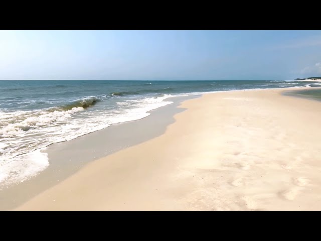 Virtual Florida: On the Beach at St. Joseph Peninsula State Park