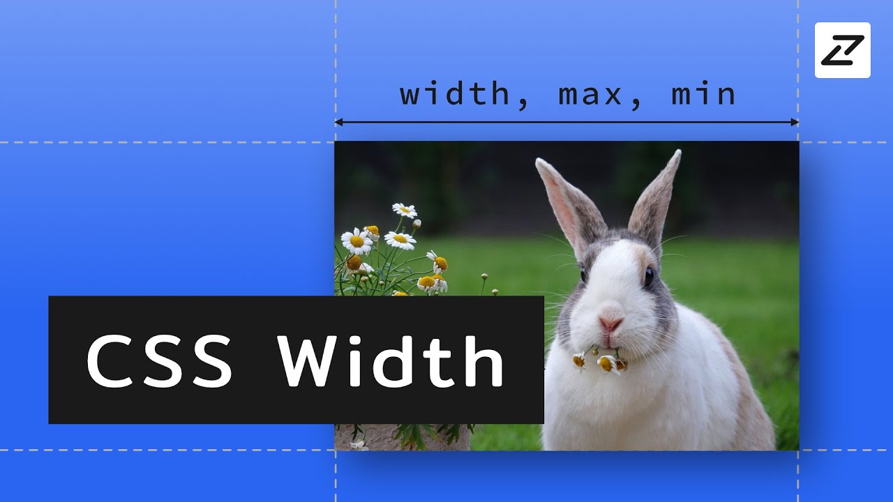 css กึ่งกลาง 2022 สอน CSS #03 - Width - ความกว้างและลิมิตของมัน