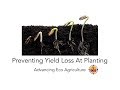 Preventing Yield Loss at Planting
