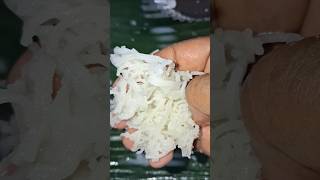 #food aappam