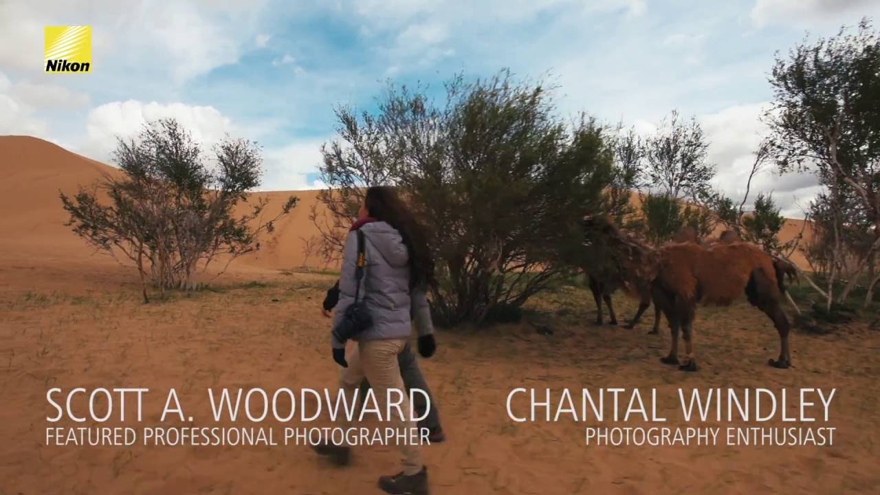 Discover Nikkor Lenses 24 1mm F4g Ed Vr Nature Mongolia Youtube