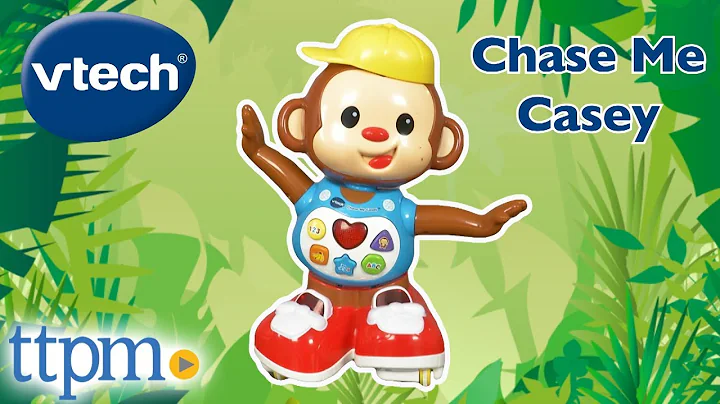 Chase Me Casey from VTech