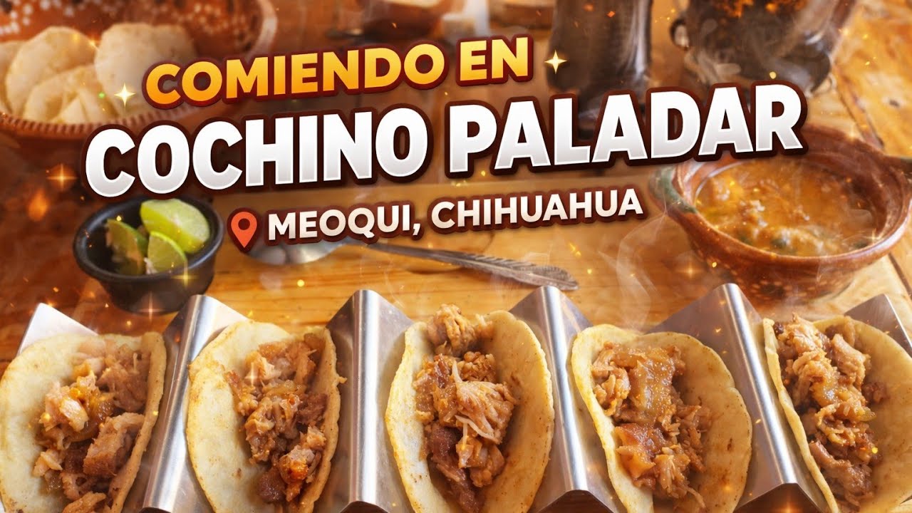 Chihuahua Gloria Anguiano  está en vivo