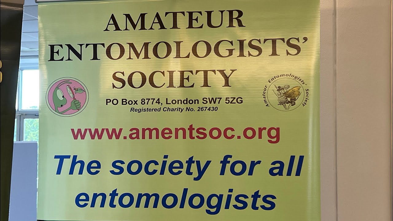 the amateur entomologists society