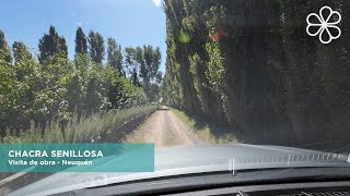 Visita de Obra - Chacra Senillosa - Neuquén