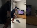 #fortnite