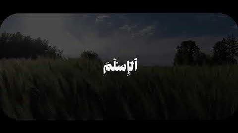 @ahmedm3dh4t تلاوة خاشعة من سورة المائدة | "اليوم أكملت لكم دينكم" محمد صديق المنشاوي
