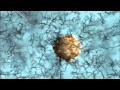 Animation : Journey to discover the nature of mass [The Higgs Field]