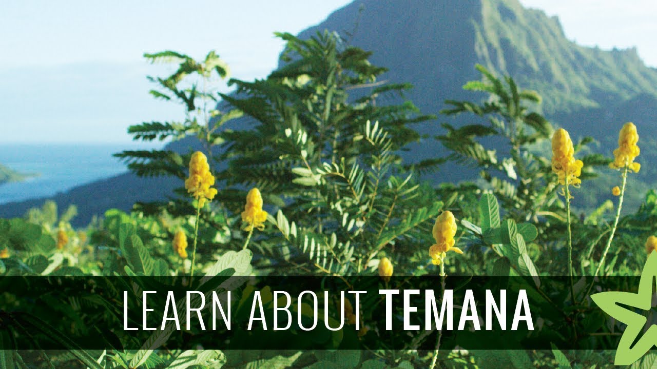 Tahiti: The origin of noni and TeMana skin care
