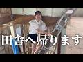 田舎へ帰ることにしました。