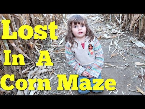 LOST IN A CORN MAZE