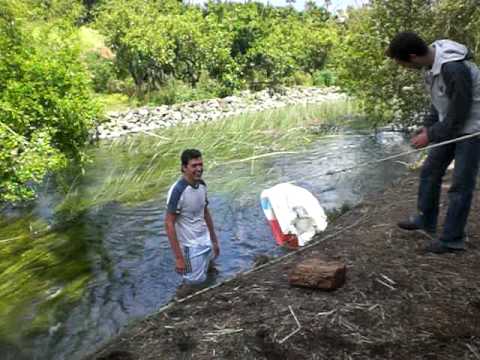 El monstruo del lago de Ana