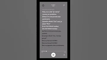 GIMS Caméléon Gims Cameleon Spotify Speedsongs Fyp Pourtoi 