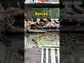 Before and After Yamaha DX-7 Restoration | #dx7 #yamaha #synth #synthesizer #yamahadx7