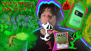 MADLABS WATERMELON KUSH REVIEW 