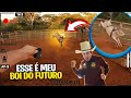 AGORA SIM REVELEI 2 TOUROS DE RODEIO CAMPEÃO PARA O FUTURO. o que vocês acha?