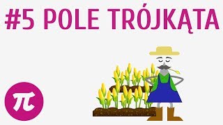 Pole trójkąta #5 [ Trójkąty ]