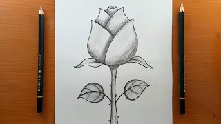 Tutorial su come disegnare facilmente le rose - Disegnare le rose passo dopo passo |disegno a matita