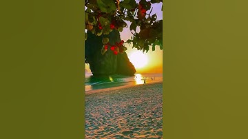 Every sunrise feels like a new beginning. 🌄🍃