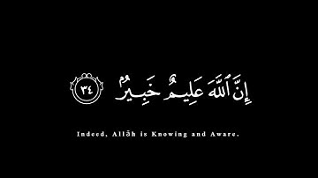 ﴿ وما تدري نفس بأي أرض تموت﴾ 🍁كروما شاشة سوداء قرآن كريم 🍁 القارئ ياسر الدوسري🍁 سورة لقمان