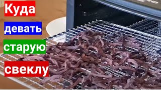 видео: Не выбрасывайте прошлогоднюю свеклу - сделайте цукаты. Дегидратор для овощей картинка: Не выбрасывайте прошлогоднюю свеклу - сделайте цукаты. Дегидратор для овощей