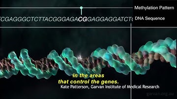 11 - Brain Cancer: DNA Methylation