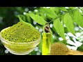 Les vertus et bienfaits des feuilles de neem pour la sante
