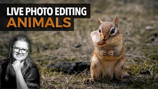 Learn How to Edit ANIMAL Photos - LIVE Photo Editing screenshot 4