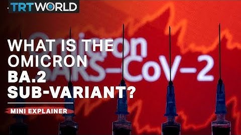 Omicron sub-variant BA.2 explained