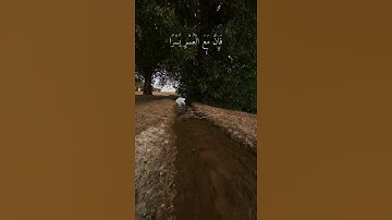 سورة الشرح / الشيخ عبد الرحمن السديس