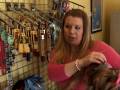 Atlanta Dog Spa | Dog Boarding Atlanta | (404) 586-4063 Atlanta Dog Spa | Dog Boarding Atlanta | (404) 586-4063