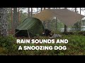 Relaxing in the rain under a tarp — Coffee and snoozing — Camping with my dog