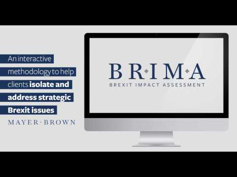 Understanding Brima D's Impact