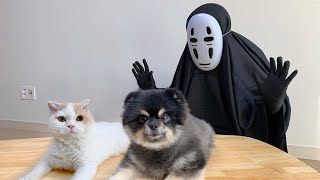 Happy halloween! Cat vs NO-Face by 국내산양파 독일산먼지 2,636 views 3 years ago 3 minutes, 52 seconds