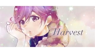 【 灰と幻想のグリムガル ED 】FULL Harvest / (K)NoW_NAME ( cover ぱあぷ )