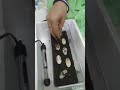 Turtle 🐢 Eggs with easy homemade incubator