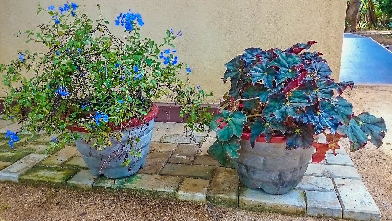 How to make cement flower pots - YouTube