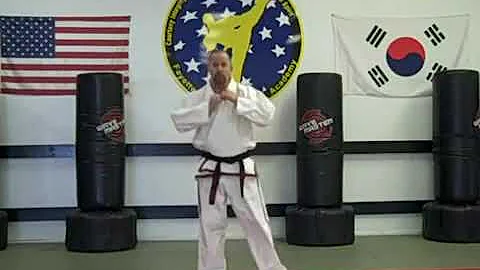 Chon-Ji Tul instructional performed by Master Rand...