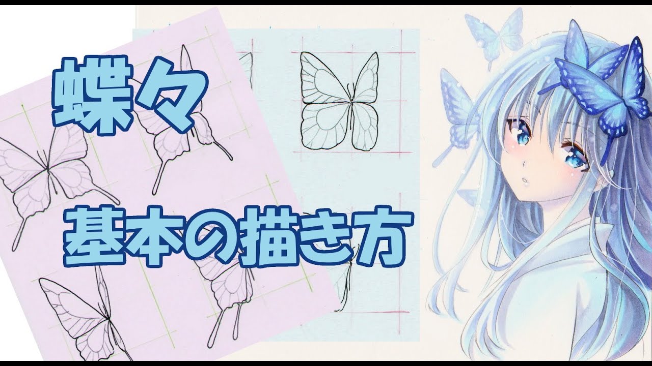 Drawing Tutorial 蝶々の描き方 基本の型と描き方のコツ アナログでアゲハチョウとモンシロチョウ Youtube