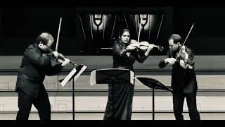Dvorak Terzetto Daniel Austrich, Pamela Frank, Antoine Tames