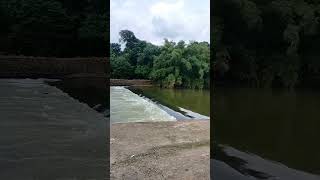 short vlog  #nature #rain