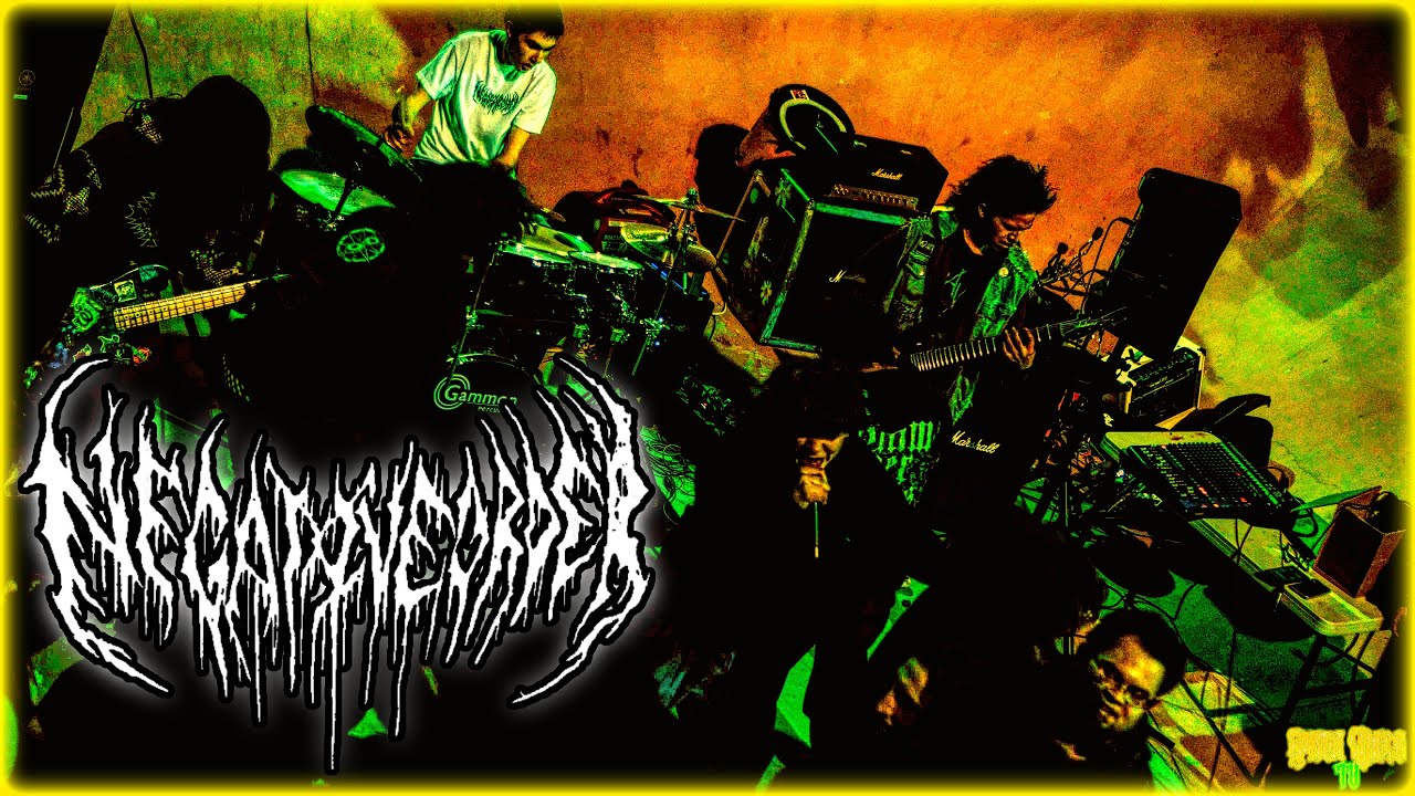 NEGATIVE ORDER  Albuquerque, NM 1-20-2024