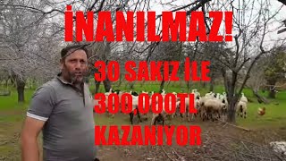 30 SAKIZLA 300,000₺ KAZANIYOR | İNANILMAZ BİR KAZANÇ | ŞEHRE YAKIN OLMANIN AVANTAJI KOCAELİ