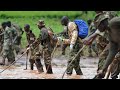 How KDF & KFS Are Draining 