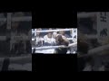 Chisora is extremely lucky he didn't get a disqualification in the fight Wilder