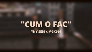 YNY SEBI x MGK666 - CUM O FAC (Versuri)