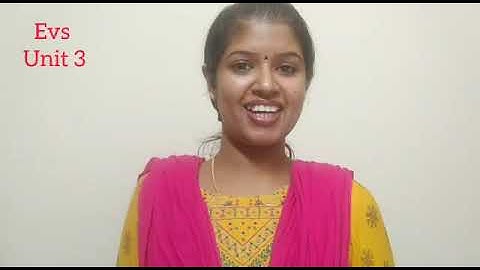 Road to independence/Grade 4 /EVS/  part 2