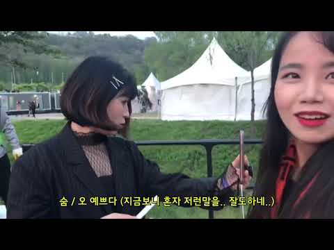 [숨씨로그_페스티벌] 힙합플레이야페스티벌2019 | 지코 크러쉬 딘 | 힙하게 100% 즐기기