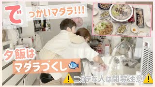 【※ニガテな方は閲覧注意】でっかいマダラをいただいたのでかぁさんは気合いでキッチンに立ちました！！！【捌きは自己流なので大目に見てね。】